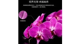 【展商推薦】視界無限 卓越畫質(zhì)——廣州增城市沙隴安全器材有限公司