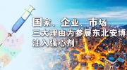 國(guó)家、企業(yè)、市場(chǎng)，三大理由為參展東北安博會(huì)注入強(qiáng)心劑！