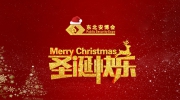 2021東北安博會(huì)祝您圣誕節(jié)快樂！