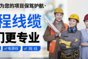 【展商推薦】金皇線材一站式采購服務(wù)——濟南寶皇信息技術(shù)有限公司