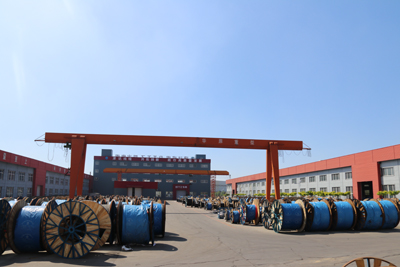 1677554155865812.jpg 電纜庫(kù)存1.JPG