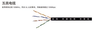 1681029842443845.jpg 五類.jpg