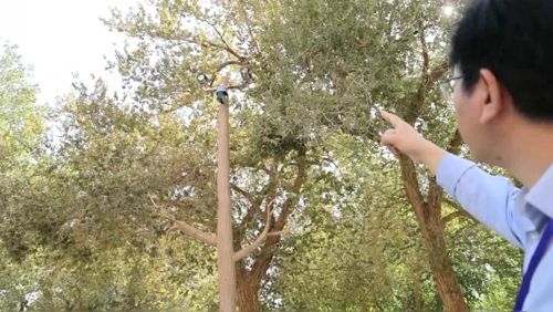 1700470767647849.jpg 638356625161100328736.webp.jpg