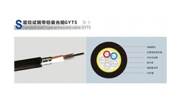 【展商推薦】遼寧隆芯通訊設(shè)備有限公司——專業(yè)光纖光纜產(chǎn)品生產(chǎn)廠家