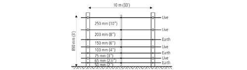 1737354272898613.jpg 9999.jpg