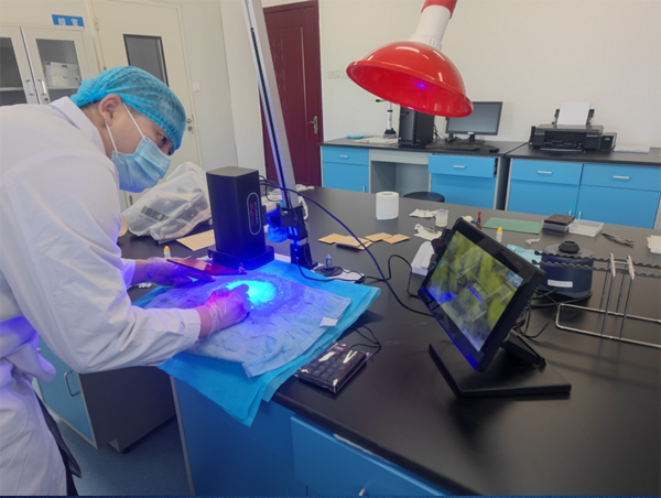 1740126547921876.png 圖片3.png