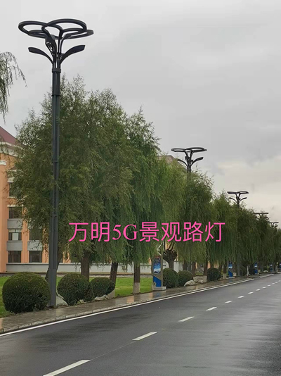 1741767438801983.jpg 微信圖片_20250303145547.jpg