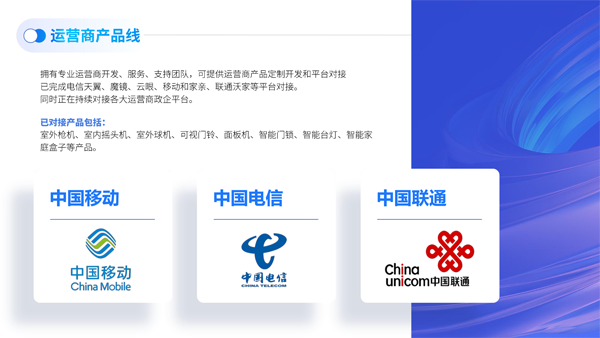 1743490428416884.png 芯睿視科技有限公司介紹2024(1)-28.png